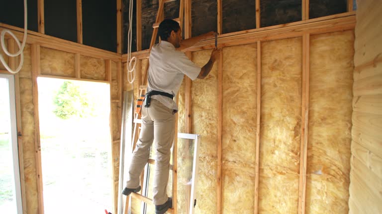 Best Attic Insulation Installation  in Warrenvle, IL