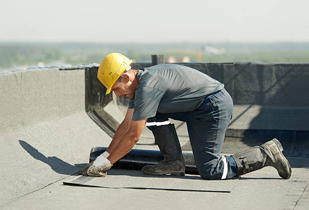 Best Attic Insulation Installation  in Warrenvle, IL