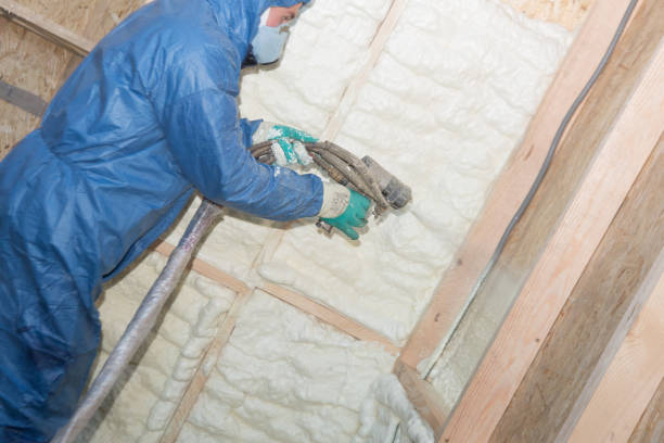 Best Basement Insulation  in Warrenvle, IL